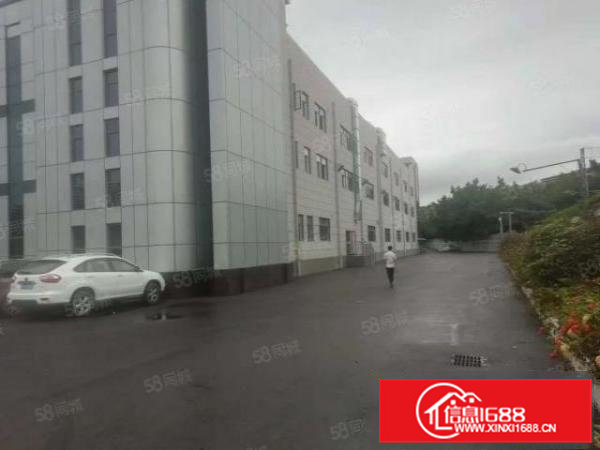 清溪浮岗原房东标准红本二楼厂房2000平招租零公摊可分租