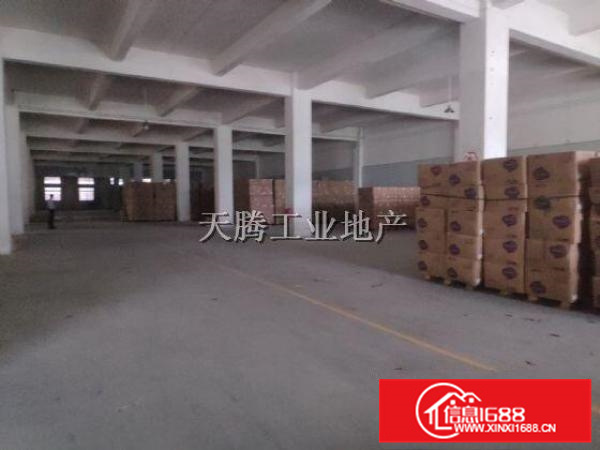 可过环保！勒流独院2800方标准首层出租！大路边