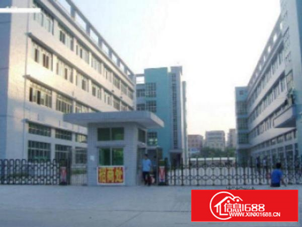 万江标准厂房分租一楼2000平方形象好