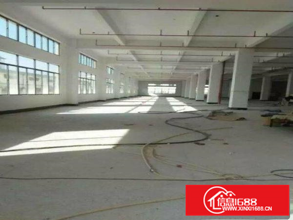 新生350平800平1500平厂房出租可分租