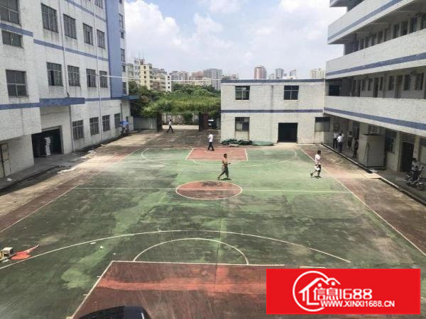 坑梓沙田地铁站新出独院11000平方空地大形象好