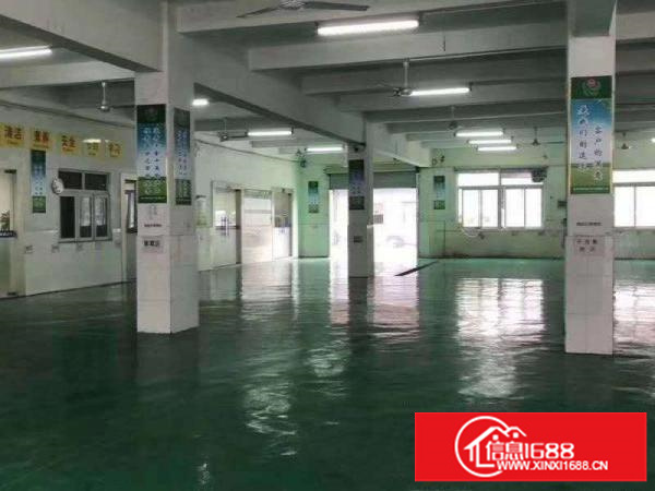 平湖白泥坑紧靠海吉星460平方带150平方冷库，办公室出租