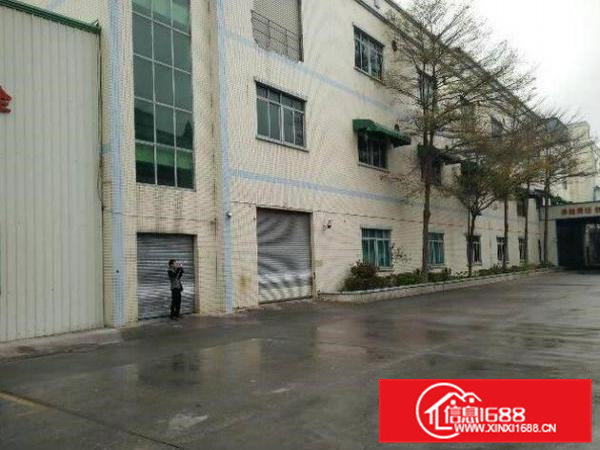 常平苏坑厂房招租，一楼1050平，交通便利