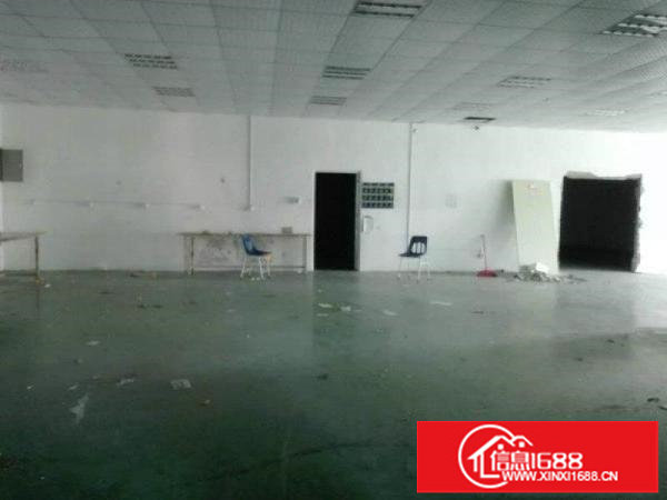 龙华新区观澜5楼700平方实际面积600平租1万2