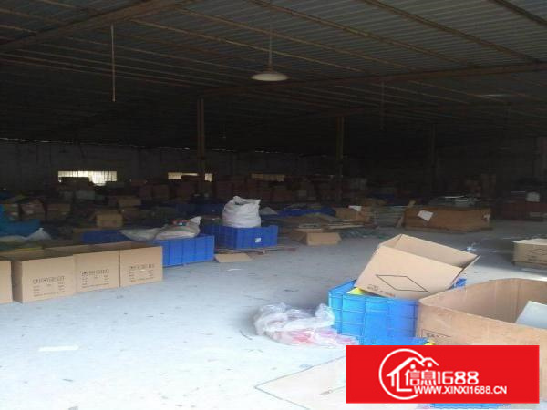 新圩约场独门独院厂房出租