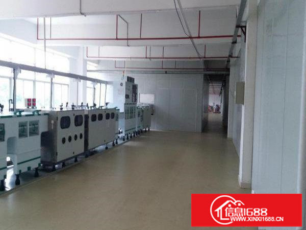 横岗六约一二楼955平米1500平带装修原房东