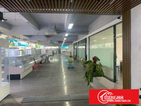 北滘中腾产业园1200平方高装转租