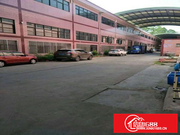 红本单一层钢构厂房招租12米高，配电大，交通方便