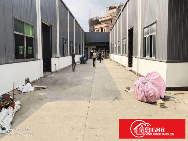 原房东单一层独院，厂房中间无柱子，正规工业用地