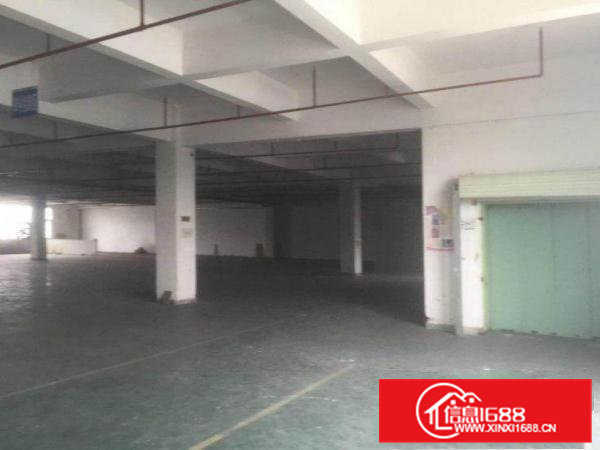 北面新出原房东独院分租1楼1500