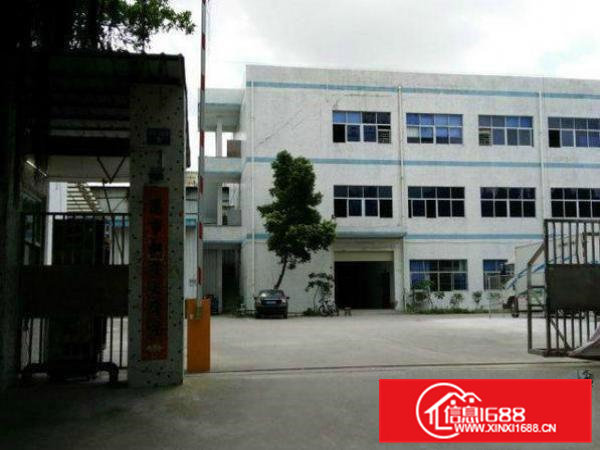 常平土塘新出房东厂房1000平米一楼