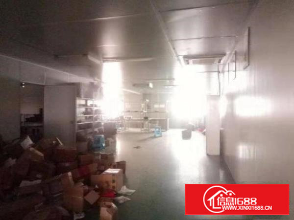 西乡无尘车间九围簕竹角黄麻布厂房整层1900平招租