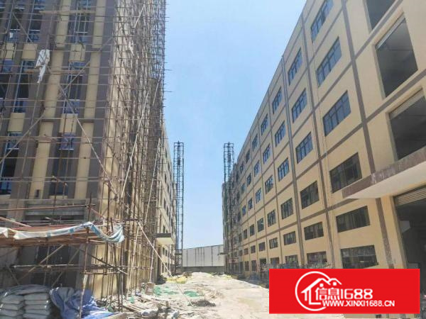 独院，一楼带牛角！各类环评不是问题！有消防喷淋，红本！可分租