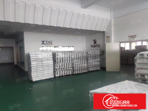 东坑镇新出独门独院工业厂房出租4200平方