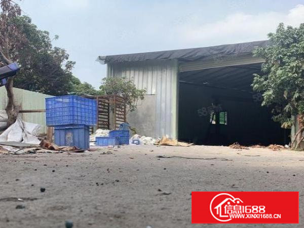 厂房求租塘厦镇石鼓新出独门独院300平