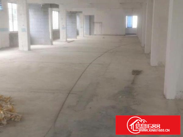 南栅五区民昌路厂房出租