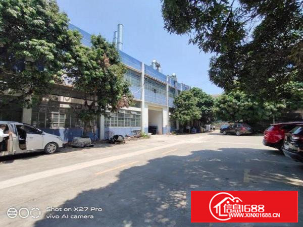 塘厦沙湖独院标准一楼500平现成主线水电到车间厂房出租空地大