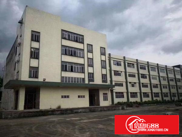 塘厦原房东独院厂房10000平方，8米高，超大空地，交通便利