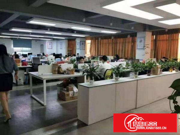 樟木头中心区电商仓库500平可分租