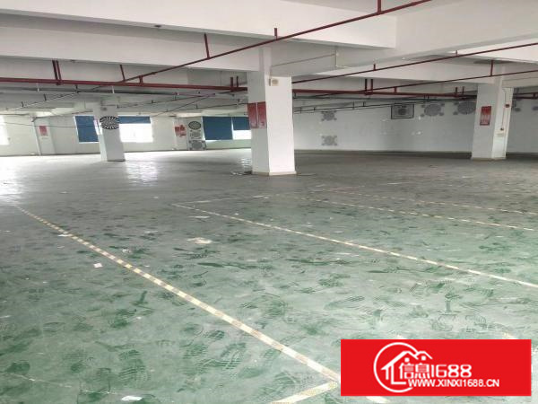 李朗原房东带精装厂房1000平和1700平出租实际面积没公摊