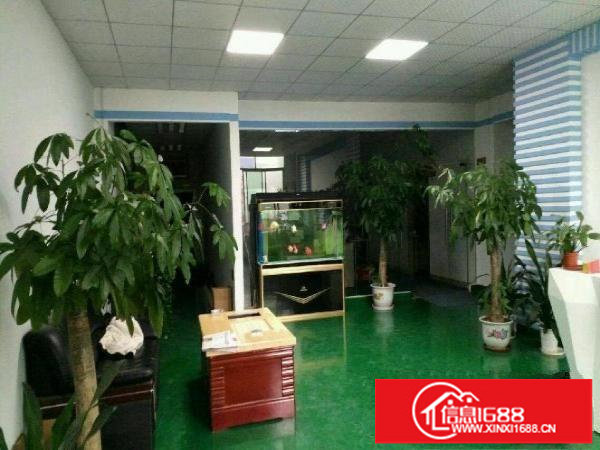 龙岗爱联地铁附近带装修厂房500平米出租