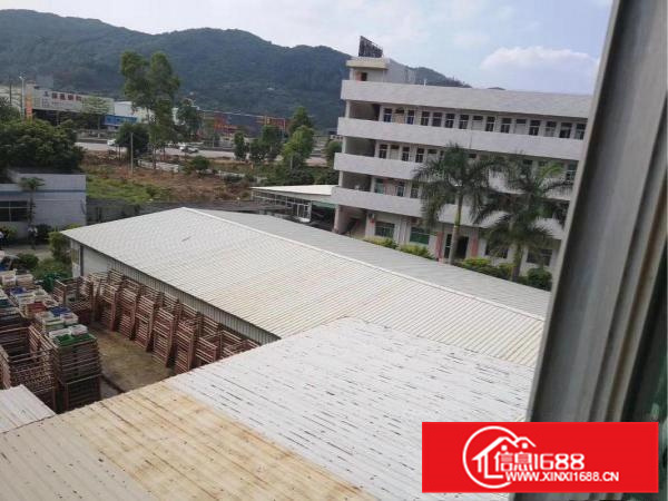 惠阳经济开发区标准花园式独院厂房8600平米出租