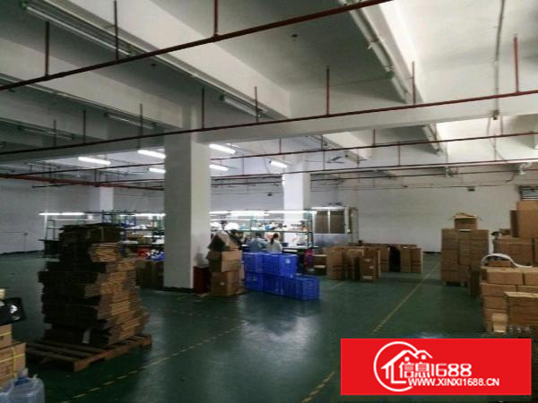 坂田南坑工业区800平米