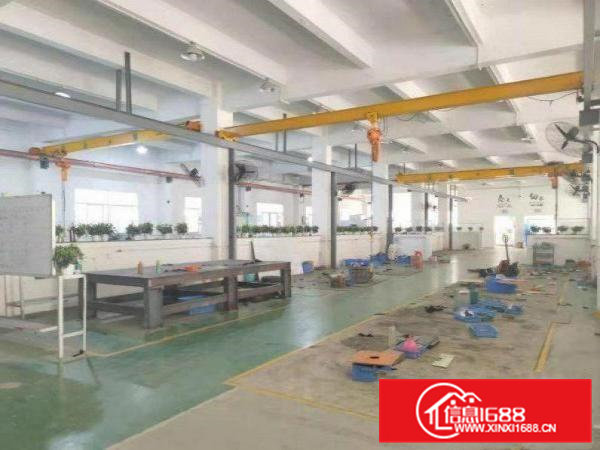 石排赤坎原房东标准一楼1500平方带行车厂房