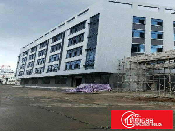 出租企石上洞全新厂房