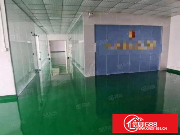 红本精装厂房1100平方原房东直租三楼水电现成已空置可分租