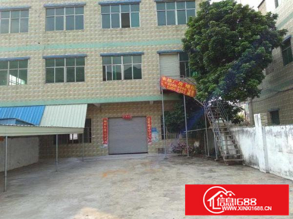 横沥张坑求雨岭独栋原房东独栋三层共1200平招租