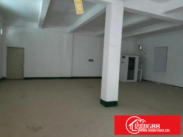 漂亮独院厂房出租了500-1000-1500平米都有