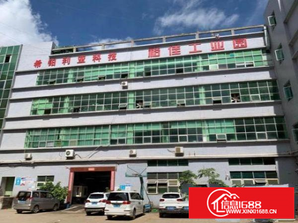 出租龙岗区龙岗中心城附件厂房