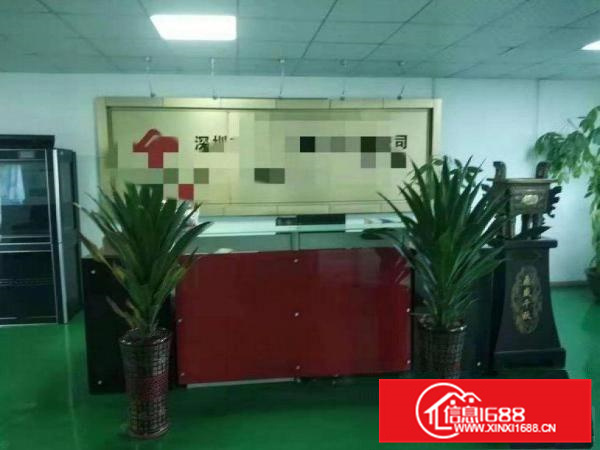 工业园800平带精装修标准厂房白菜价出租空地大