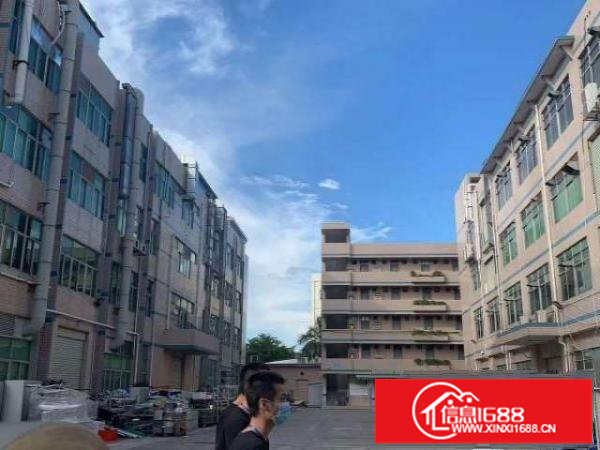 平湖富民工业区8成新标准一楼550平厂房带办公室装修