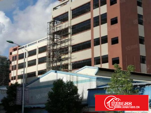 塘厦石鼓新建带正规环评手续厂房60000平带现成污水处理设施