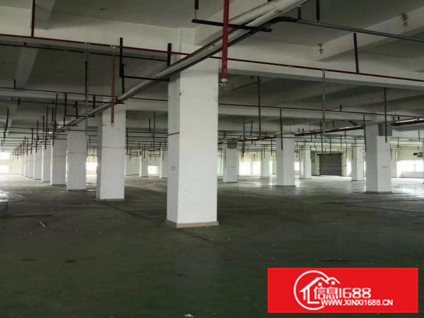 14500平方全新独院标准电梯厂房