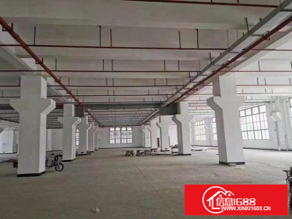 全新园区招商，重工厂房，可分租，空地大，配套齐备。