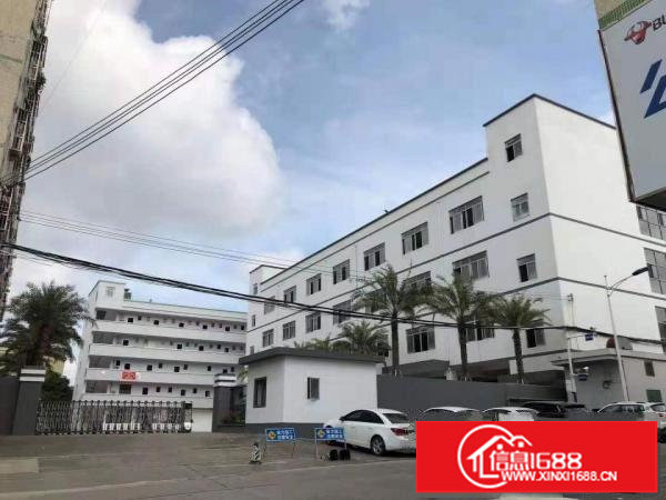 坪山碧岭新出450平米标准一楼厂房7千元全包价出租，水电齐全