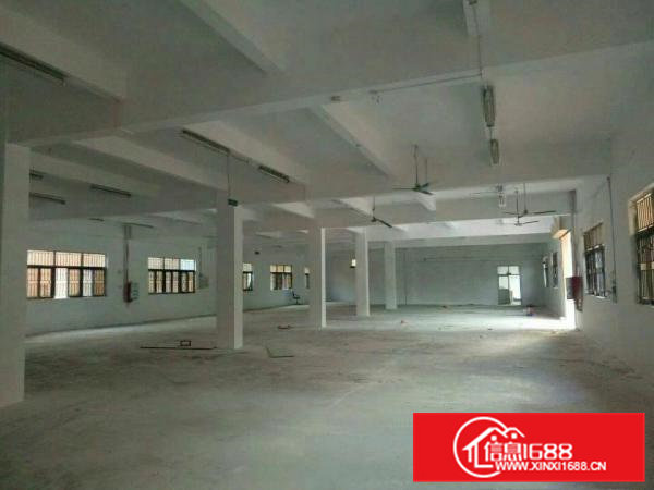 常平镇新出原房东标准单层厂房