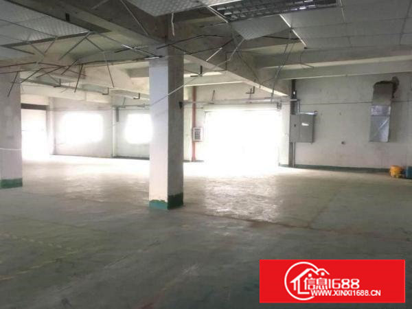 塘厦平山6080平方米配大空地独院厂房，清湖头/振兴围/石鼓