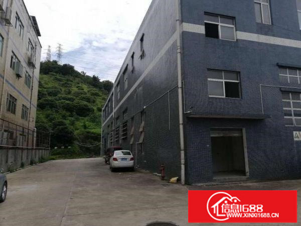 横岗新出单一层一楼标准厂房仓库8000平方滴水7米大小分租