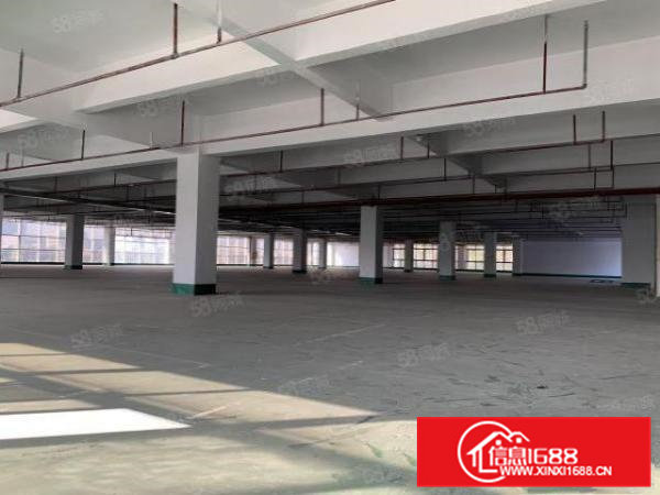 塘厦沙湖原房东标准厂房3100平方带消防喷淋出租,空地大