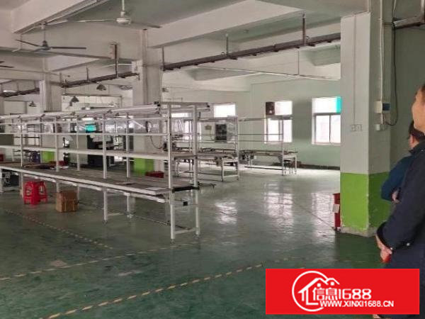 厂房一楼500平方、二楼300平方出租带装修免中介费