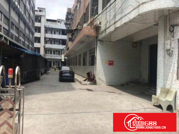 茶山增埗沙墩一楼厂房1500平方出租