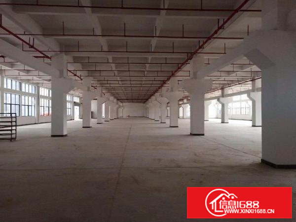 桥头全新标准一楼带牛角