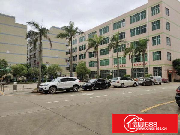 布吉大芬地铁口原房东厂房楼上带装修厂房出租871平米电商电子