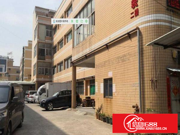 横岗独门独院厂房4层厂房面积5200平方可分租