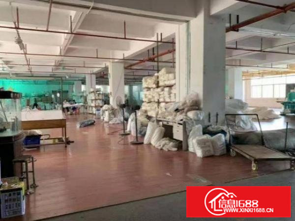 清溪罗马村2楼厂房600平便宜出租