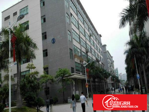 大浪联建科技园新出三楼740平带装修厂房招租